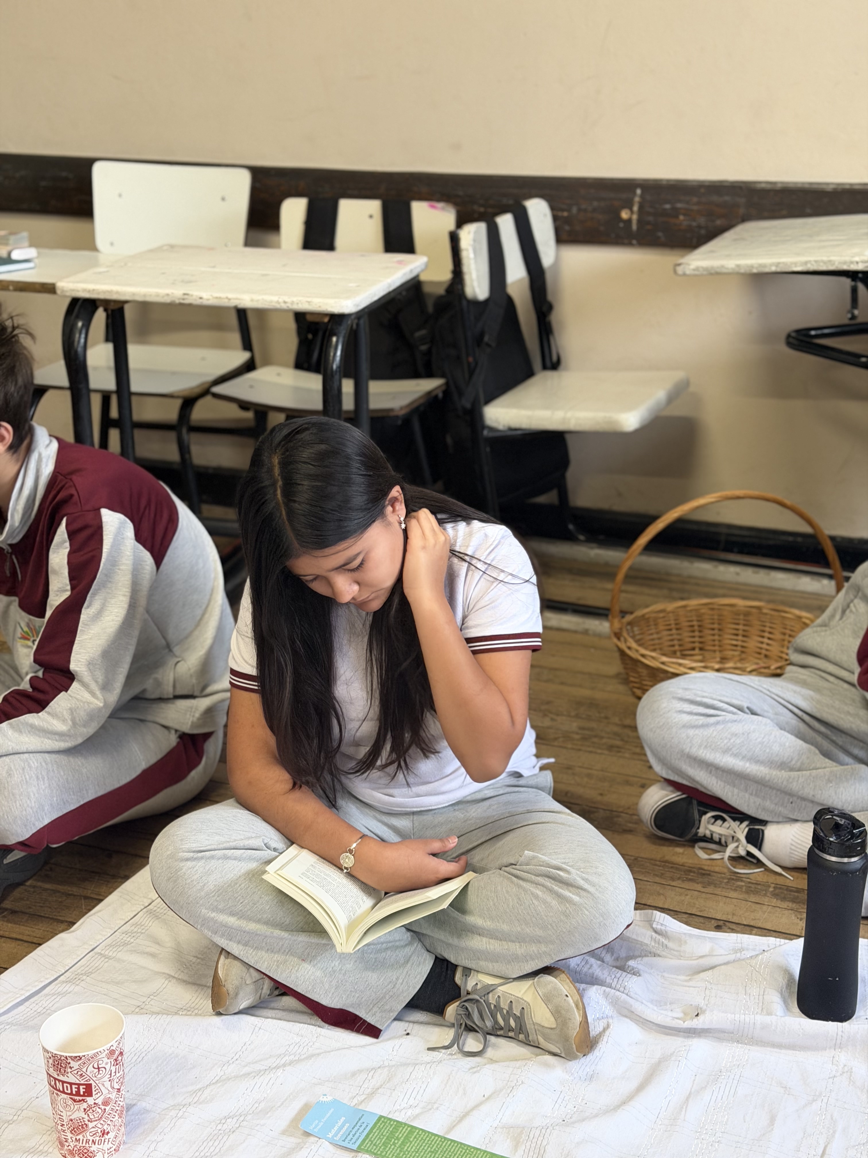 Picnic Literario